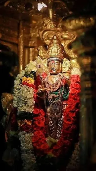 Photo shared with the Google review by Karthick Komban